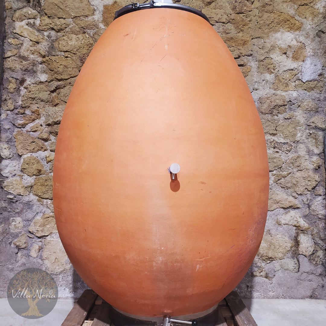 Vin Orange en Amphore