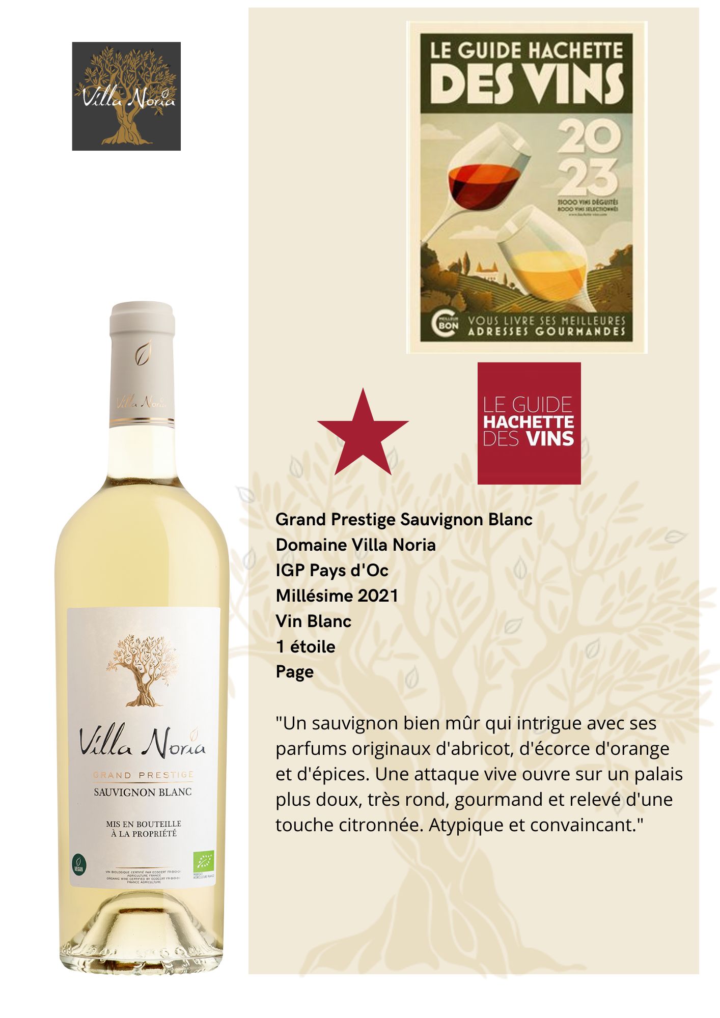 Guide Hachette des Vins 2023 Grand Prestige Sauvignon Blanc 1 étoile ⭐