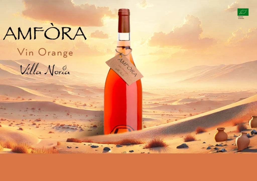 Amfora 1-(Compressify.io)