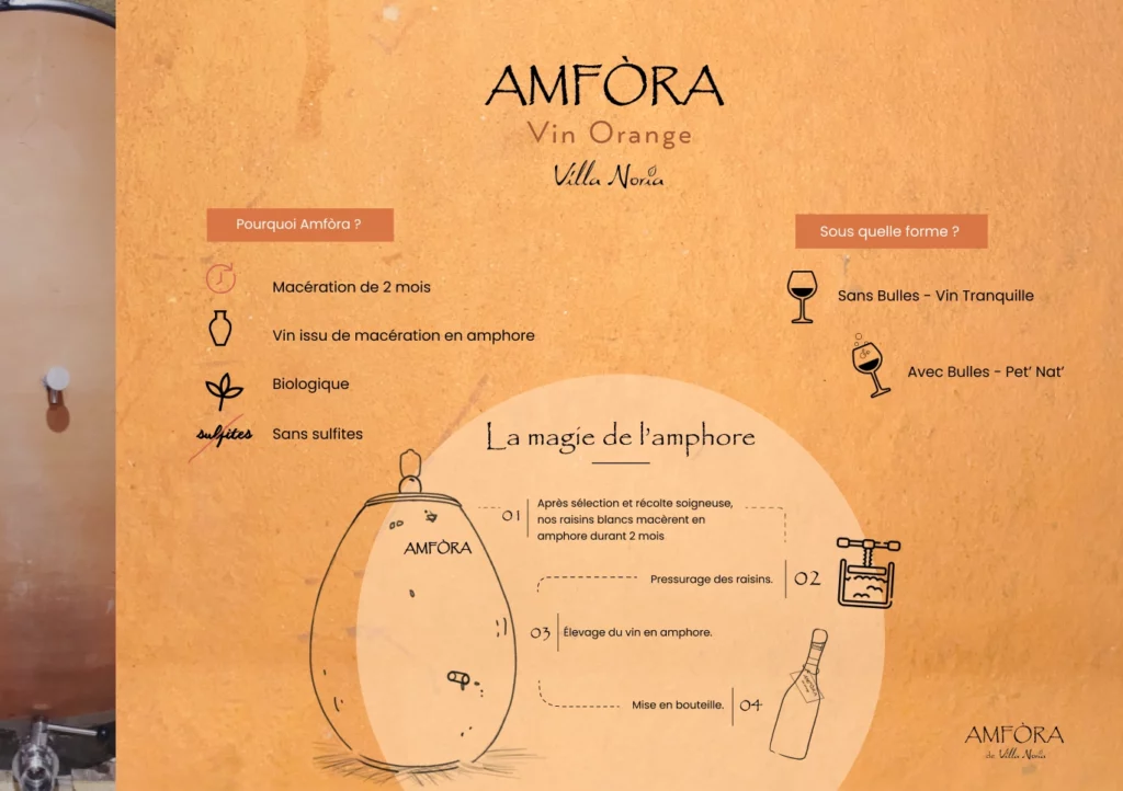 Amfora 3-(Compressify.io)