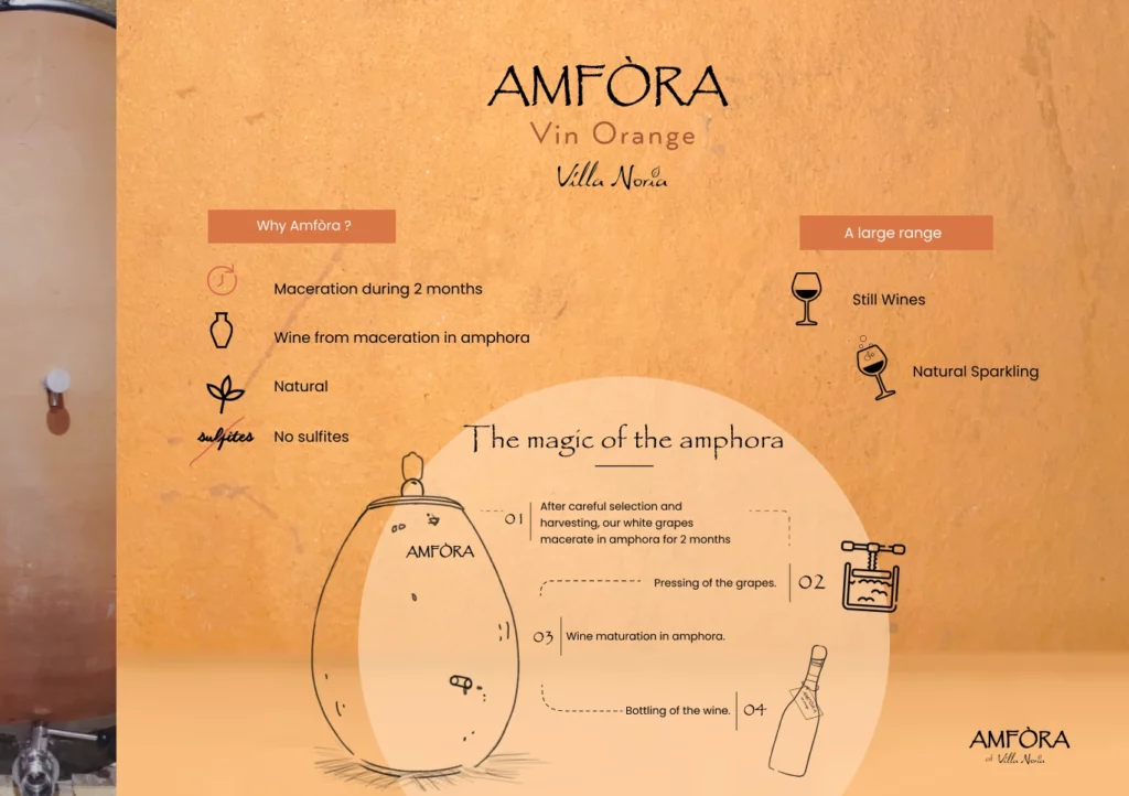 Amfora 3-(Compressify.io)