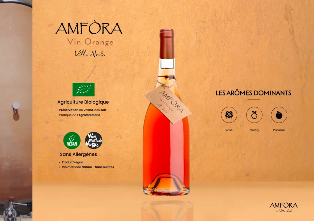 Amfora 4-(Compressify.io)