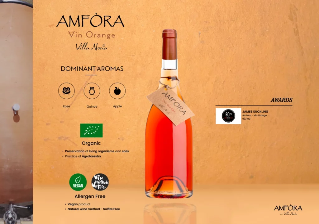 Amfora 4-(Compressify.io)