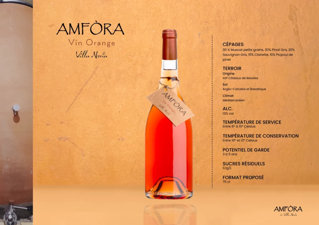 Amfora 5-(Compressify.io)