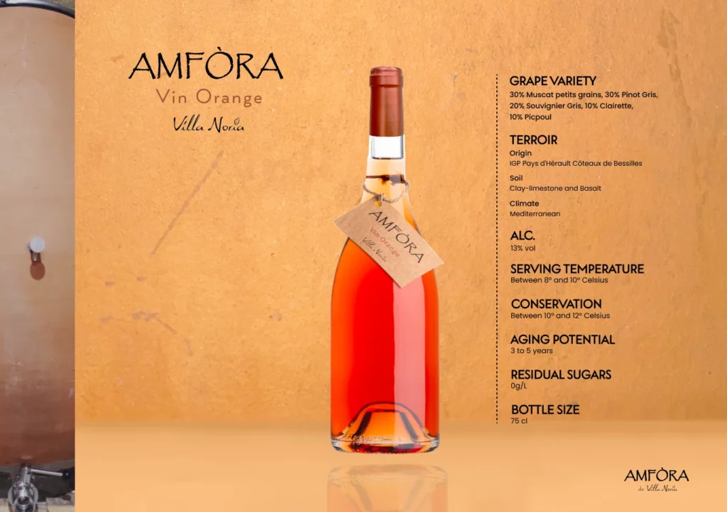 Amfora 5-(Compressify.io)