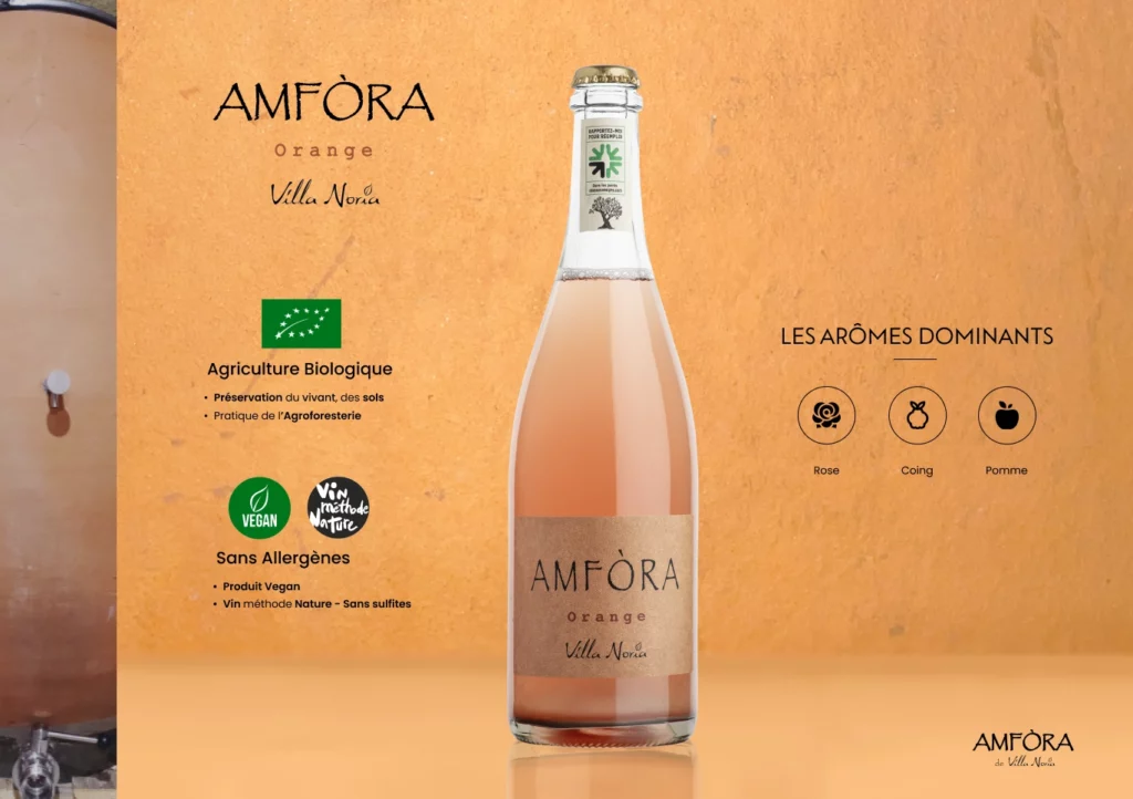 Amfora 6-(Compressify.io)