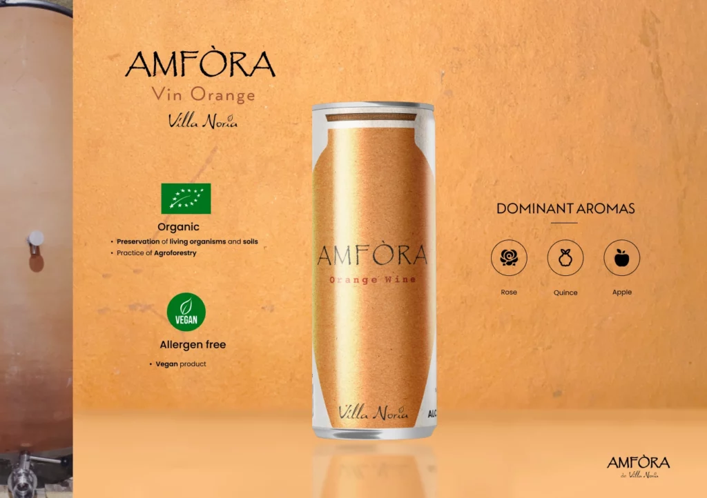 Amfora 6-(Compressify.io)