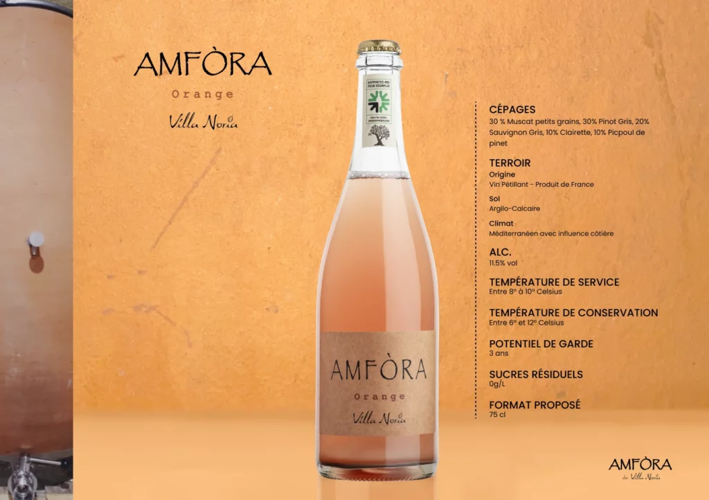Amfora 7-(Compressify.io)
