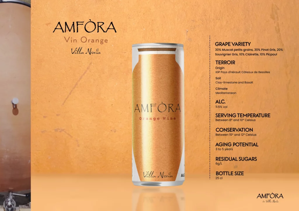 Amfora 7-(Compressify.io)
