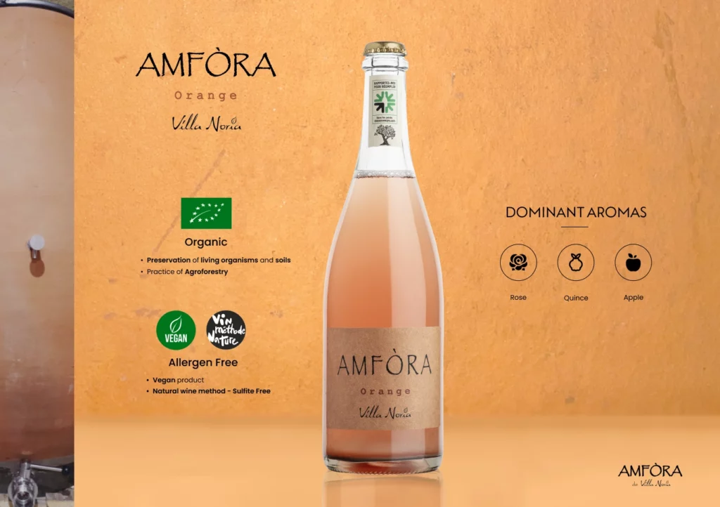 Amfora 8-(Compressify.io)