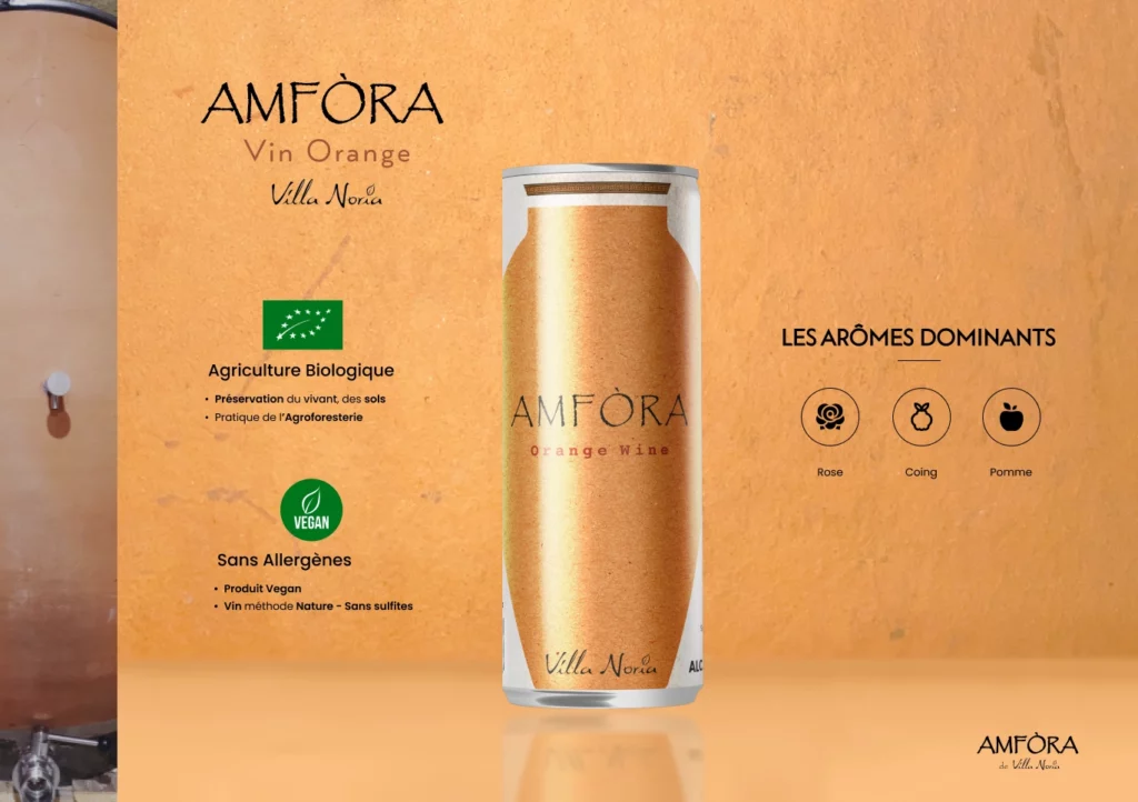 Amfora 9-(Compressify.io)