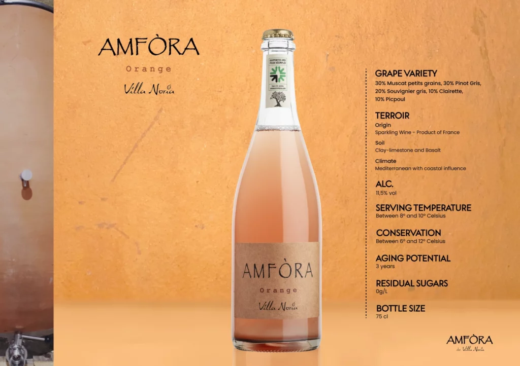 Amfora 9-(Compressify.io)