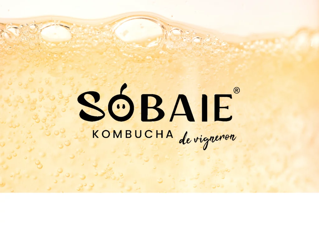 SOBAIE 1