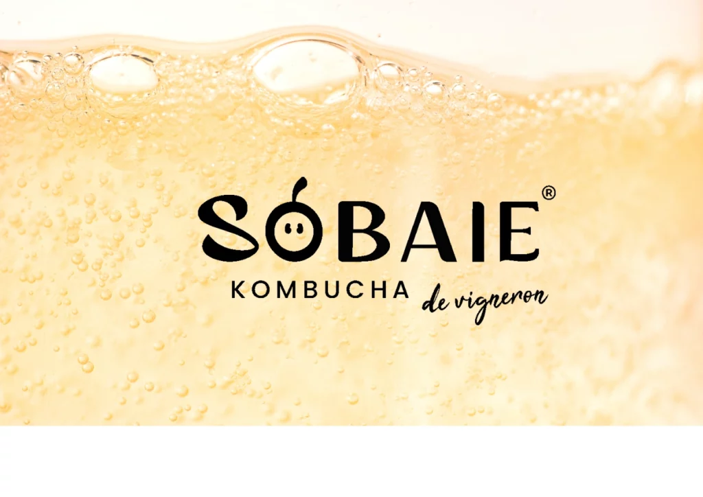 SOBAIE 1 ENG-(Compressify.io)
