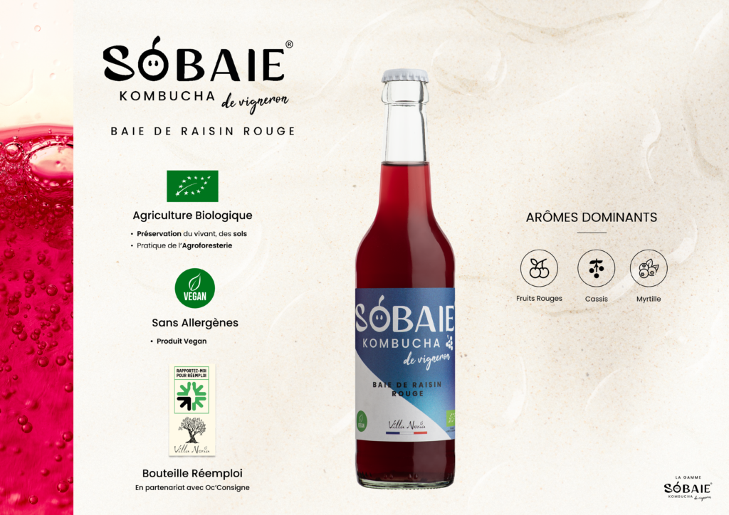SOBAIE-10