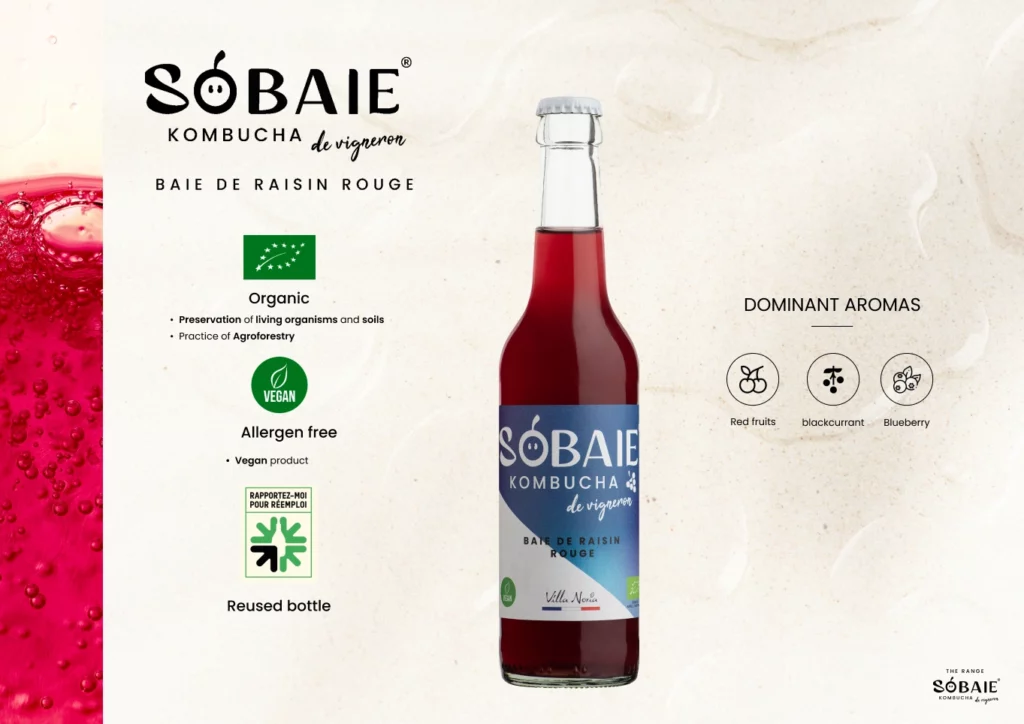 SOBAIE 10 ENG-(Compressify.io)
