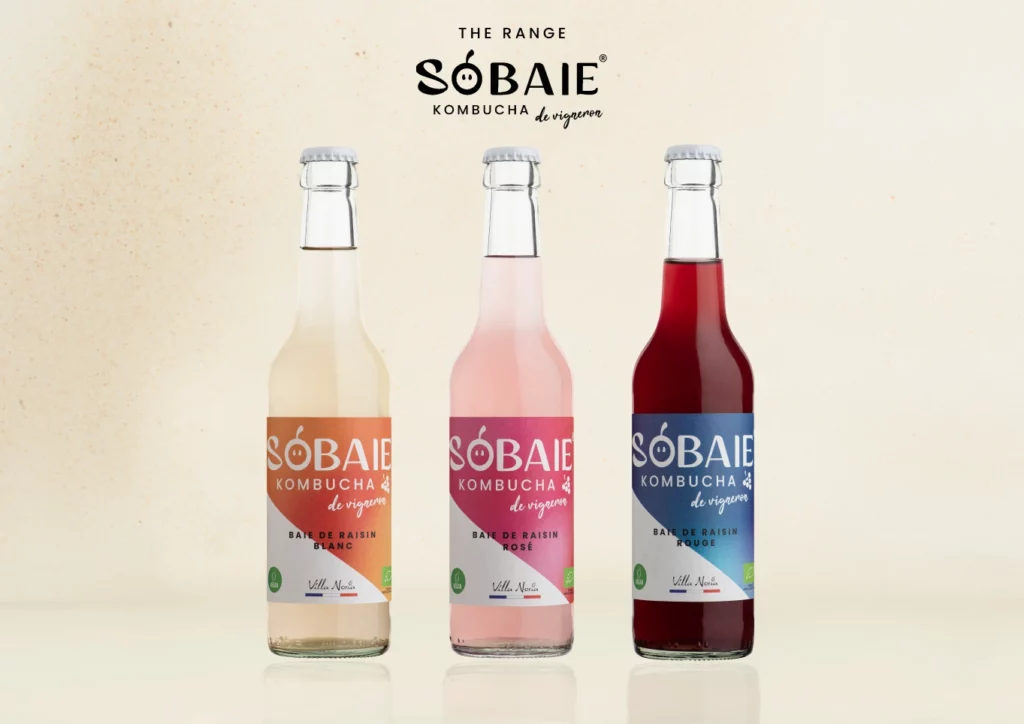 SOBAIE 2 ENG-(Compressify.io)