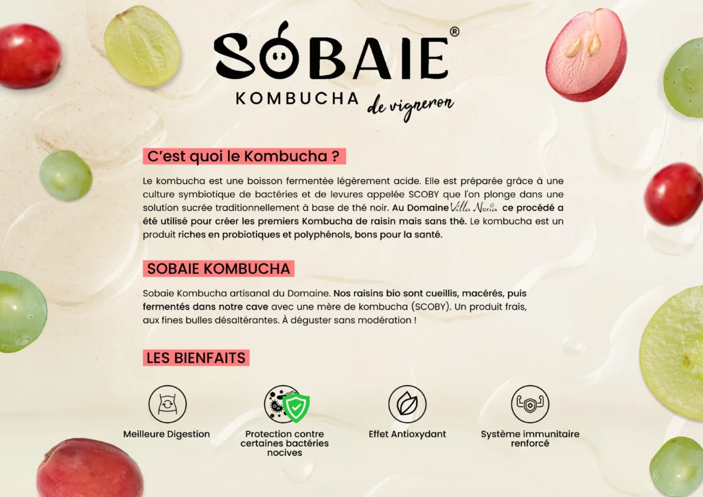 SOBAIE 3