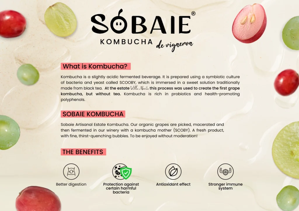 SOBAIE 3 ENG-(Compressify.io)