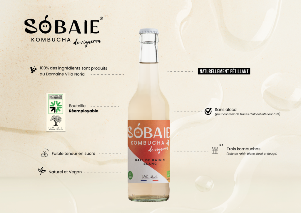 SOBAIE-4