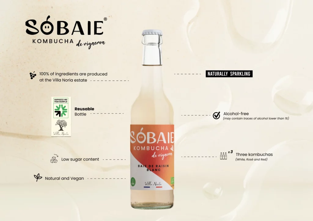 SOBAIE 4 ENG-(Compressify.io)
