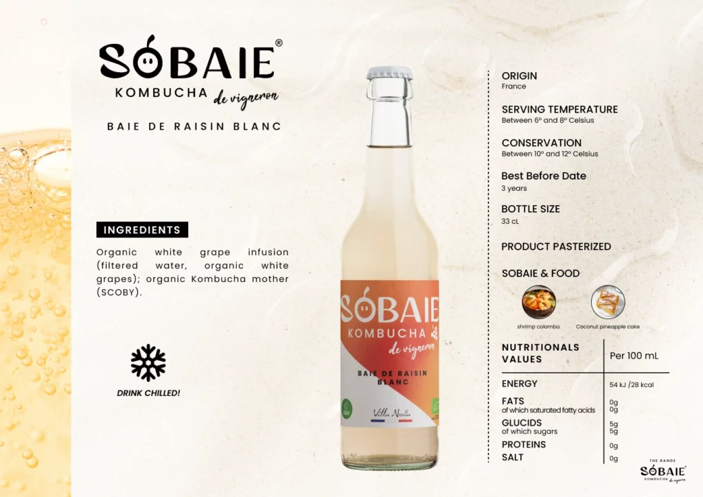 SOBAIE 5 ENG-(Compressify.io)