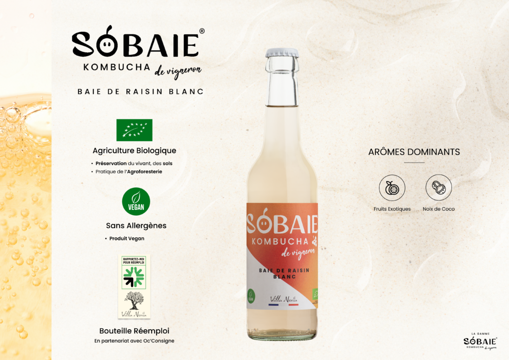 SOBAIE-6