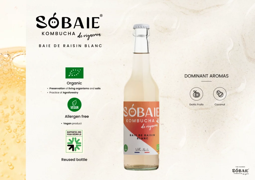 SOBAIE 6 ENG-(Compressify.io)