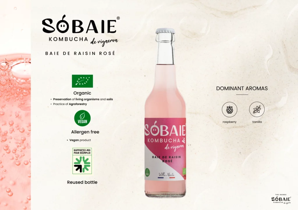 SOBAIE 8 ENG-(Compressify.io)